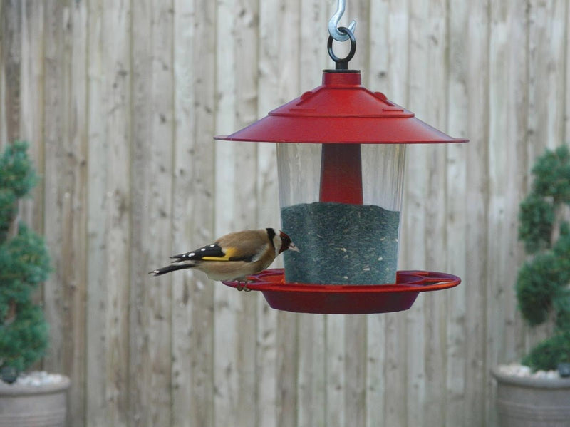 Lantern Bird Seed & Nut Feeder – Hanging Feeder for Wild Birds | Garland | Bird Feeder | W2070 5031670520708 | AllotMate Essentials