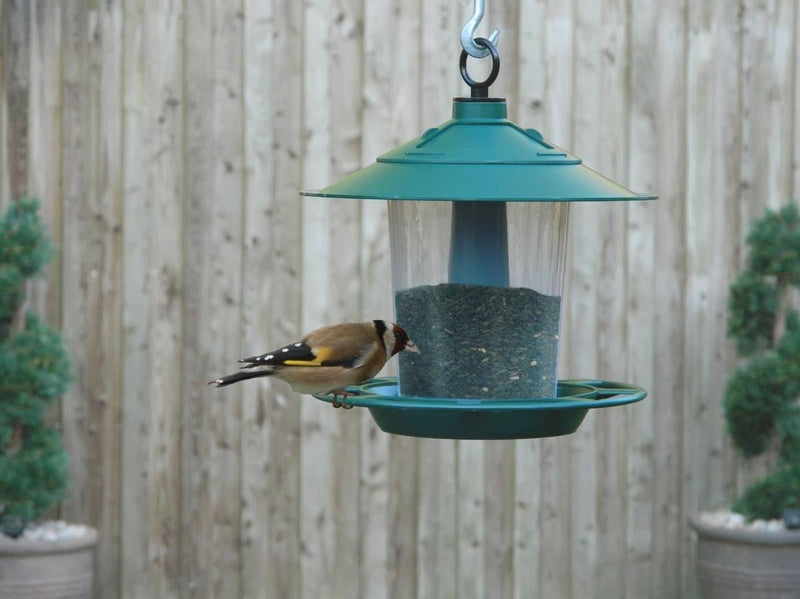 Lantern Bird Seed & Nut Feeder – Hanging Feeder for Wild Birds | Garland | Bird Feeder | W2074 5031670520746 | AllotMate Essentials