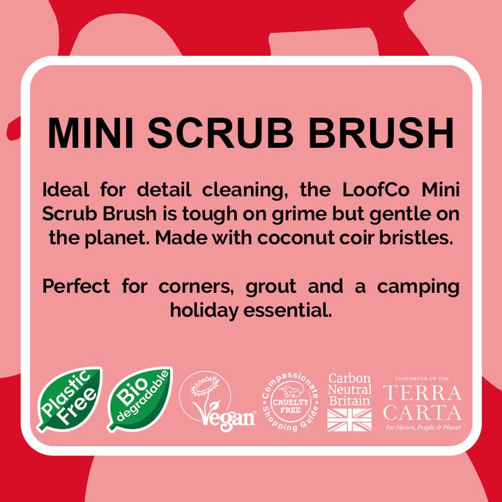 LoofCo Coconut Mini Scrub Brush: Plastic-Free, Vegan Coconut Coir Scrubber for Root Veg, Pots, Seed Trays and Washing Up | Scrub Brush | 5060175850737 5060175850737 | AllotMate Essentials