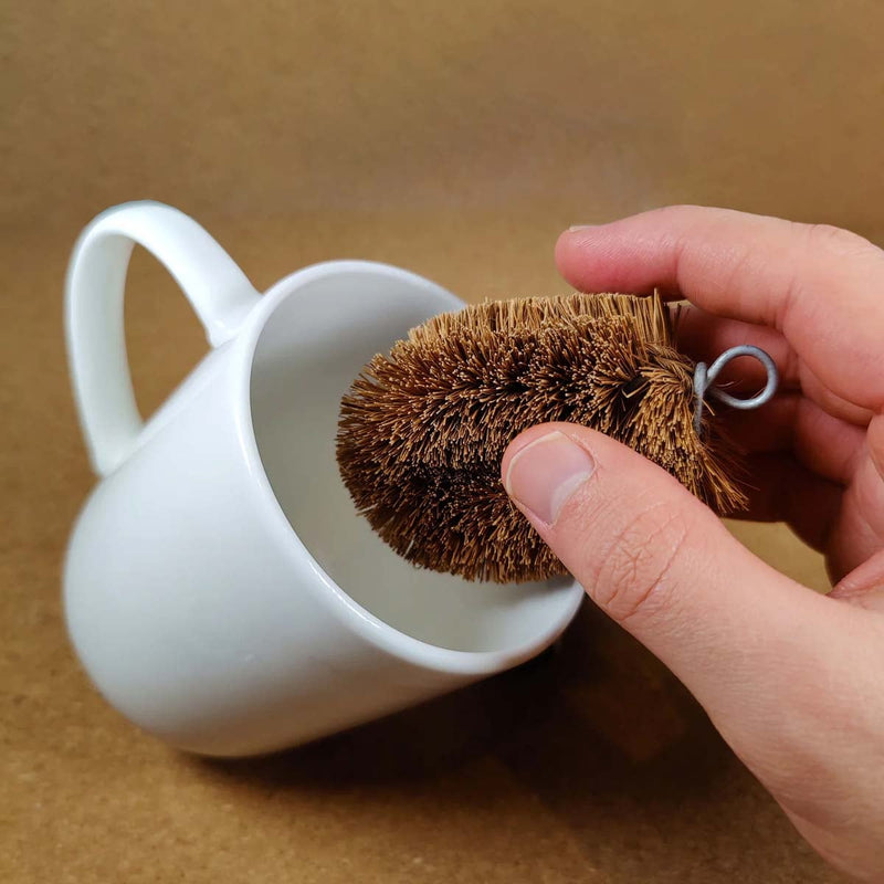 LoofCo Coconut Mini Scrub Brush: Plastic-Free, Vegan Coconut Coir Scrubber for Root Veg, Pots, Seed Trays and Washing Up | Scrub Brush | 5060175850737 5060175850737 | AllotMate Essentials