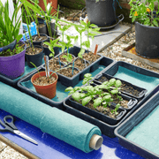 Moisture Matting, Green, 0.6 m x 2.4 m | Soil & Growing Accessories | 7014010 Moisture Mat 0.6 x 2.4m | AllotMate Essentials