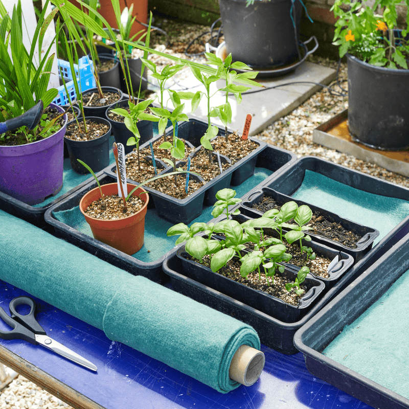 Moisture Matting, Green, 0.6 m x 2.4 m | Soil & Growing Accessories | 7014010 Moisture Mat 0.6 x 2.4m | AllotMate Essentials