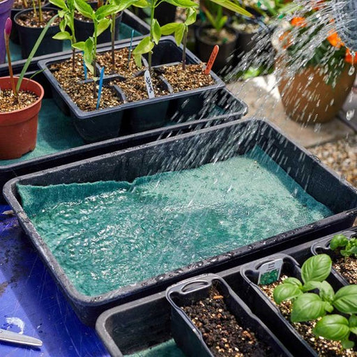 Moisture Matting, Green, 0.6 m x 2.4 m | Soil & Growing Accessories | 7014010 Moisture Mat 0.6 x 2.4m | AllotMate Essentials