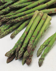 Mr Fothergills RHS Asparagus Connover's Colossal Seeds AGM Heritage Perennial | Vegetable Seeds | 5011775273396 5011775273396 | AllotMate Essentials