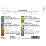 RHS British Wildflowers – Native Seed Mix for Pollinators | Mr Fothergill’s | Flower Seeds | 30614 5011775290423 | AllotMate Essentials