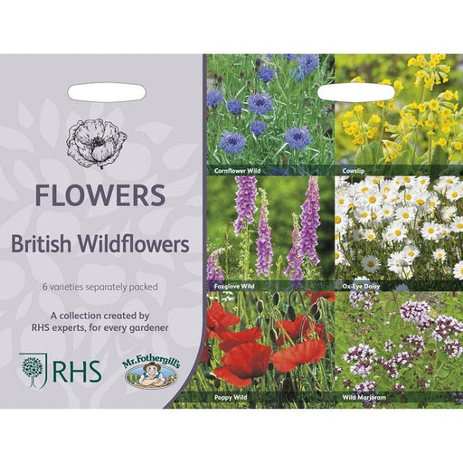 RHS British Wildflowers – Native Seed Mix for Pollinators | Mr Fothergill’s | Flower Seeds | 30614 5011775290423 | AllotMate Essentials