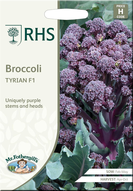 Mr Fothergills RHS Broccoli Tyrian F1 Seeds Purple Stem Summer Sprouting | Vegetable Seeds | 5011775438092 5011775438092 | AllotMate Essentials