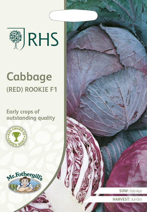 Mr Fothergills RHS Cabbage Savoy Tundra F1 Seeds AGM Winter Hardy | Vegetable Seeds | 5011775273457 5011775273457 | AllotMate Essentials