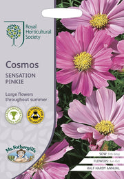 Mr Fothergill’s RHS Cosmos Sensation Pinkie Seeds 150 Seeds, Tall Pink Half Hardy Annual Flower | Flower Seeds | 5011775274102 5011775274102 | AllotMate Essentials