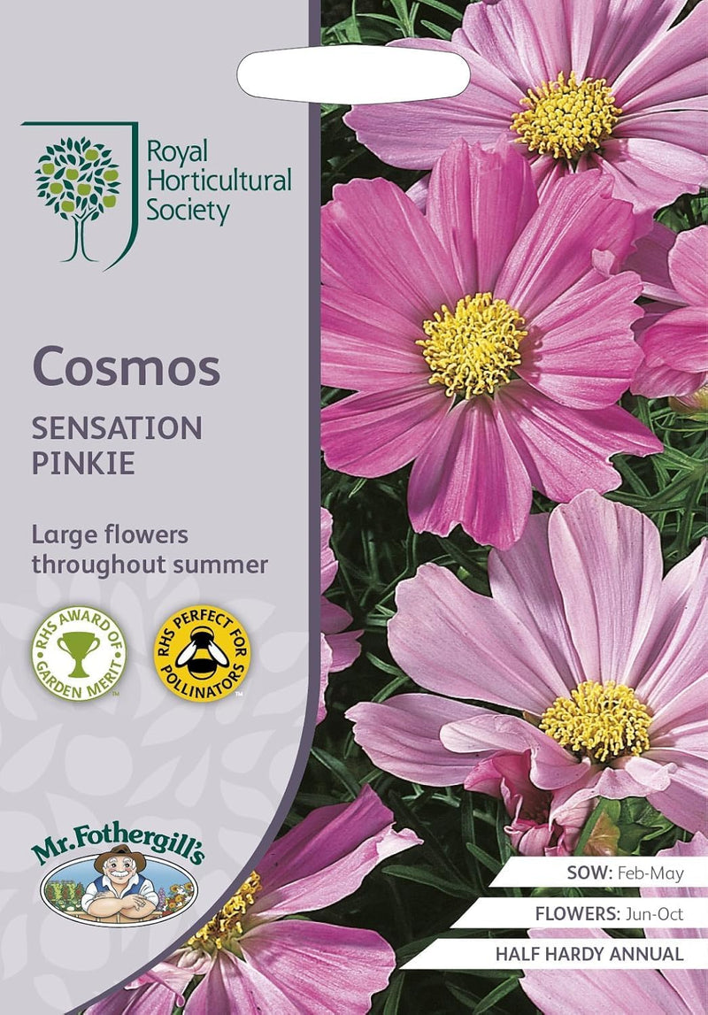 Mr Fothergill’s RHS Cosmos Sensation Pinkie Seeds 150 Seeds, Tall Pink Half Hardy Annual Flower | Flower Seeds | 5011775274102 5011775274102 | AllotMate Essentials