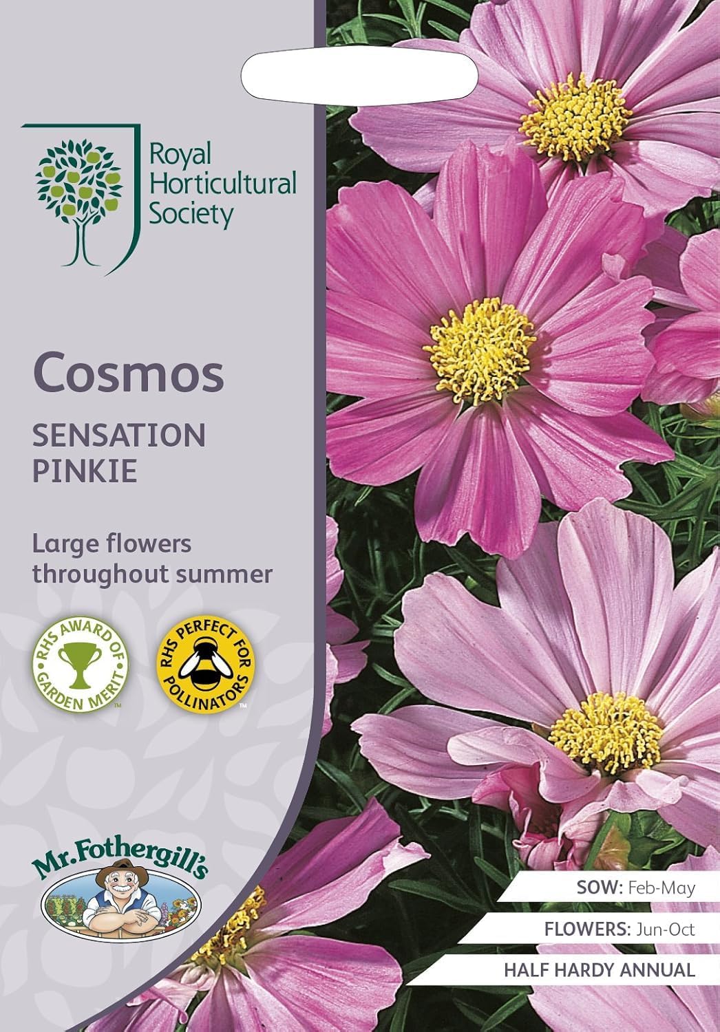 Now Rhs Mr Fothergill’s RHS Cosmos Sensation Pinkie Seeds 150 Seeds, Tall Pink ...