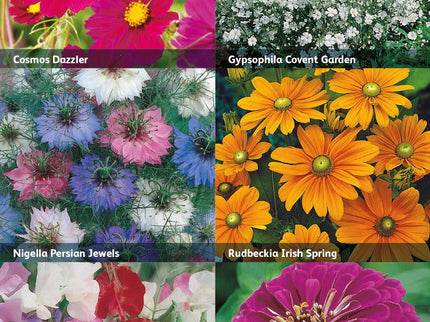 Mr Fothergill’s RHS Flowers for Cutting Seed Collection - Flower Seeds - AllotMate Essentials - 5011775290362