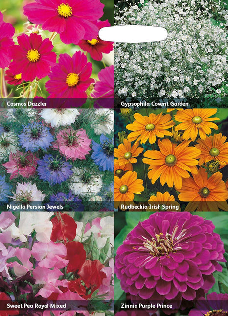 Mr Fothergill’s RHS Flowers for Cutting Seed Collection - Flower Seeds - AllotMate Essentials - 5011775290362