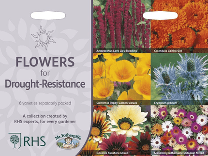 RHS Drought - Resistant Flowers – Low Water Bloom Mix | Mr Fothergill’s | Flower Seeds | 30002 5011775290379 | AllotMate Essentials