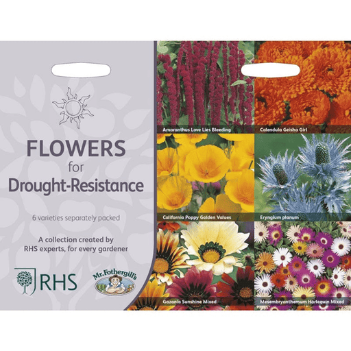 RHS Drought - Resistant Flowers – Low Water Bloom Mix | Mr Fothergill’s | Flower Seeds | 30002 5011775290379 | AllotMate Essentials