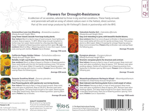 RHS Drought - Resistant Flowers – Low Water Bloom Mix | Mr Fothergill’s | Flower Seeds | 30002 5011775290379 | AllotMate Essentials