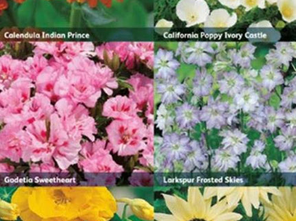 Mr Fothergill’s RHS Flowers for Easy Growing Seed Collection - Flower Seeds - AllotMate Essentials - 30099 - 5011775290386