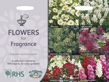 RHS Flowers for Fragrance – Scented Garden Flower Seed Mix | Mr Fothergill’s | Flower Seeds | 5011775290393 5011775290393 | AllotMate Essentials