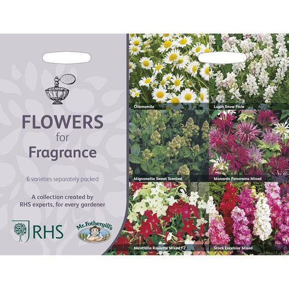 Mr Fothergill’s RHS Flowers for Fragrance Collection - Flower Seeds - AllotMate Essentials - 5011775290393 - 5011775290393