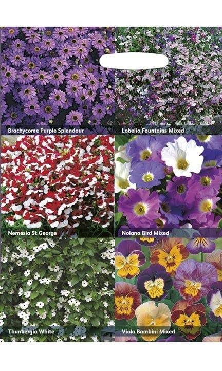 RHS Flowers for Hanging Baskets – Cascading Bloom Seed Mix | Mr Fothergill’s | Flower Seeds | 30513 5011775290409 | AllotMate Essentials