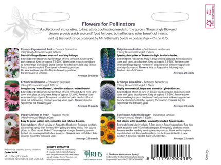 RHS Flowers for Pollinators – Wildlife - Friendly Seed Mix | Mr Fothergill’s | Flower Seeds | 30221 5011775290416 | AllotMate Essentials