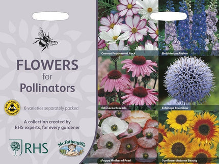 RHS Flowers for Pollinators – Wildlife - Friendly Seed Mix | Mr Fothergill’s | Flower Seeds | 30221 5011775290416 | AllotMate Essentials
