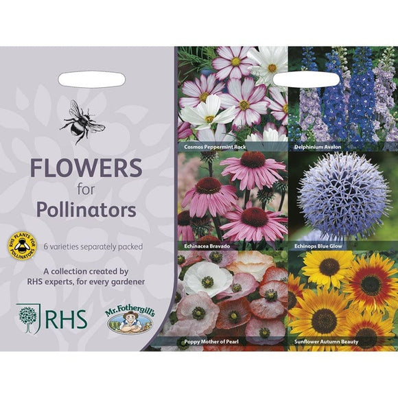 Mr Fothergill’s RHS Flowers for Pollinators Collection - Flower Seeds - AllotMate Essentials - 30221 - 5011775290416