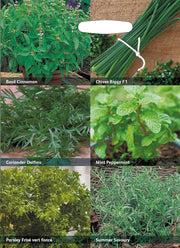 RHS Herbs for Containers – Grow Your Own Herb Seed Kit | Mr Fothergill’s | Herbs | 29855 5011775290430 | AllotMate Essentials