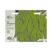 Mr Fothergills RHS Pea Mangetout Delikata Seeds AGM High Yield | Vegetable Seeds | 5011775273853 5011775273853 | AllotMate Essentials