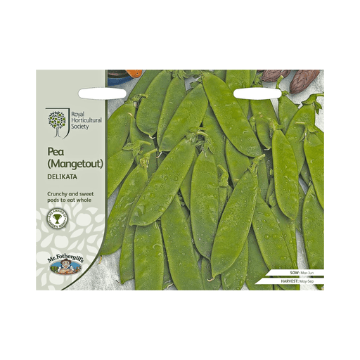 Mr Fothergills RHS Pea Mangetout Delikata Seeds AGM High Yield | Vegetable Seeds | 5011775273853 5011775273853 | AllotMate Essentials