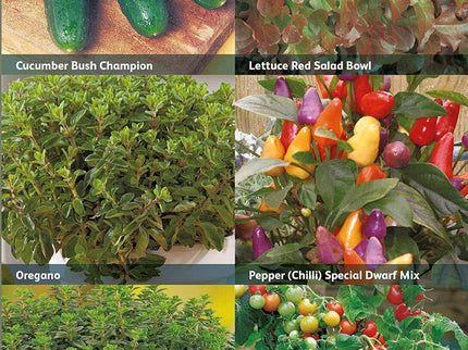 RHS Vertical Garden Veg – Space - Saving Seed Collection | Mr Fothergill’s | Vegetable Seeds | 30355 5011775290508 | AllotMate Essentials