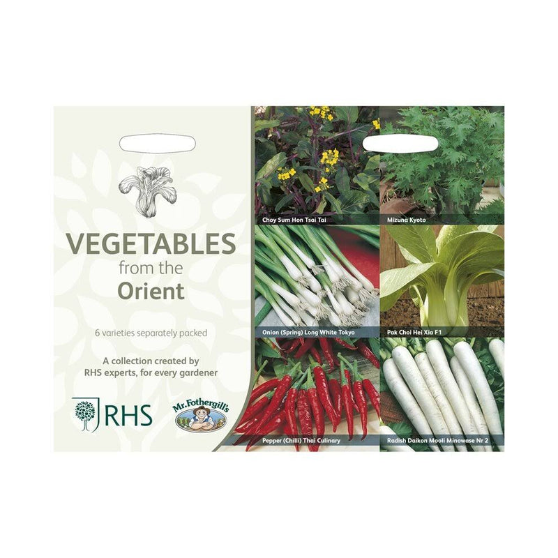 RHS Oriental Vegetables – Asian - Inspired Grow Your Own Kit | Mr Fothergill’s | Vegetable Seeds | 30613 5011775290485 | AllotMate Essentials