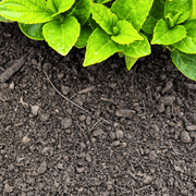 Multi Purpose Welsh Compost | Topsoil & Compost | DMPOCJBB Custom Product | AllotMate Essentials