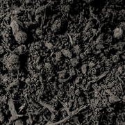 Multi Purpose Welsh Compost | Topsoil & Compost | DMPOCJBB Custom Product | AllotMate Essentials
