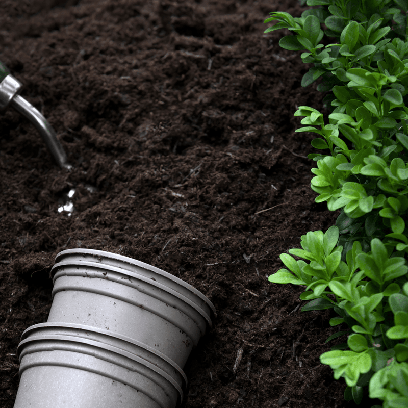 Multi Purpose Welsh Compost | Topsoil & Compost | DMPOCJBB Custom Product | AllotMate Essentials