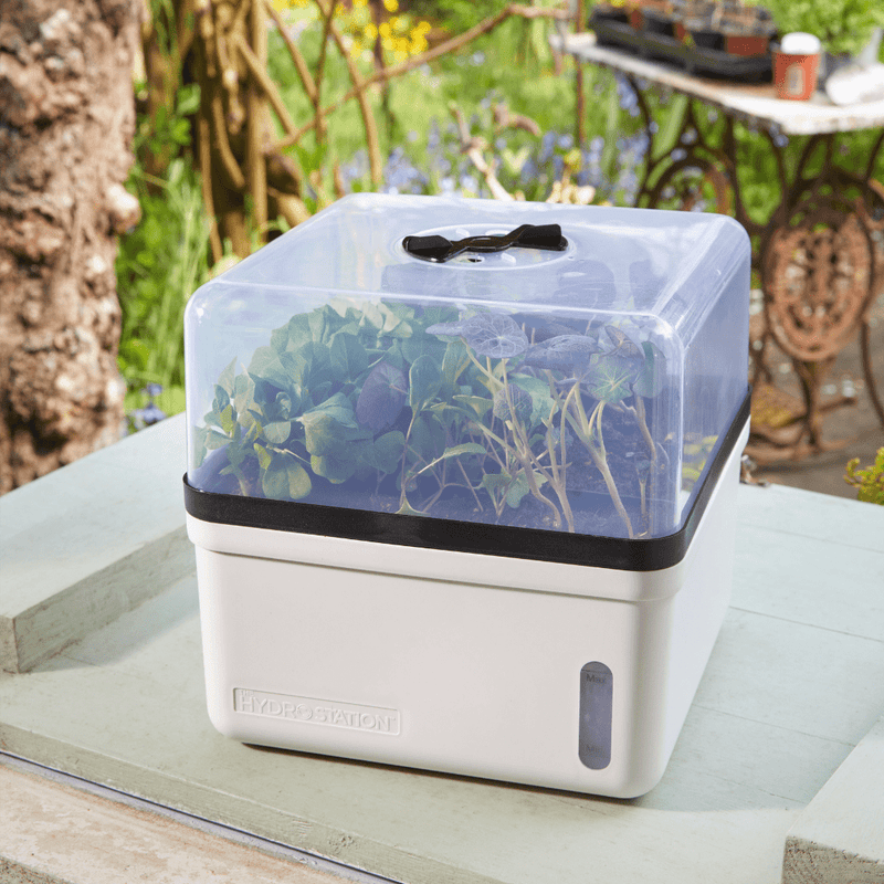 Perfect Propagator, Self Watering, 23 cm | Growhouses & Tunnels | 6512009 Potting TidyTray | AllotMate Essentials