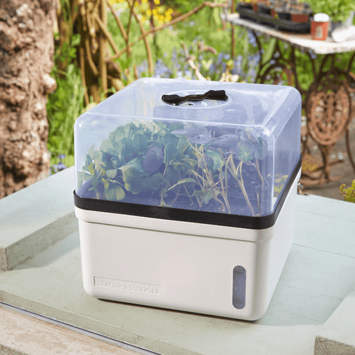 Perfect Propagator, Self Watering, 23 cm | Growhouses & Tunnels | 6512009 Potting TidyTray | AllotMate Essentials