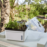 Perfect Propagator, Self Watering, 23 cm | Growhouses & Tunnels | 6512009 Potting TidyTray | AllotMate Essentials