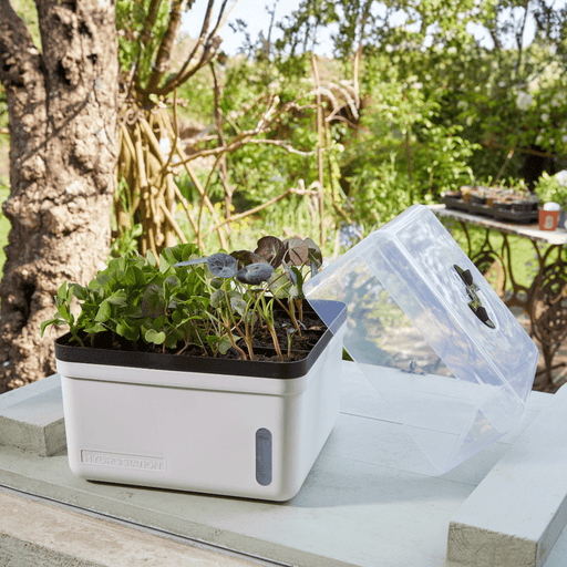 Perfect Propagator, Self Watering, 23 cm | Growhouses & Tunnels | 6512009 Potting TidyTray | AllotMate Essentials