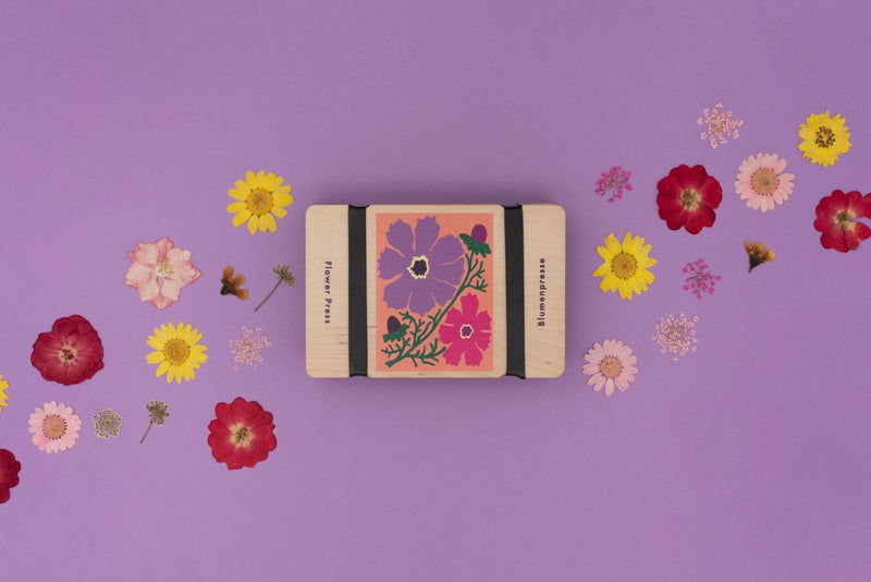 Pocket Flower Press Kit – Cosmos Floral Design for Nature Pressing | Studio Wald | Flower Press Kit | 5060918580853 5060918580853 | AllotMate Essentials