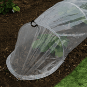 Polythene Tunnel Cloche, 3.1m | Growhouses & Tunnels | 6513000 5050642030700 | AllotMate Essentials