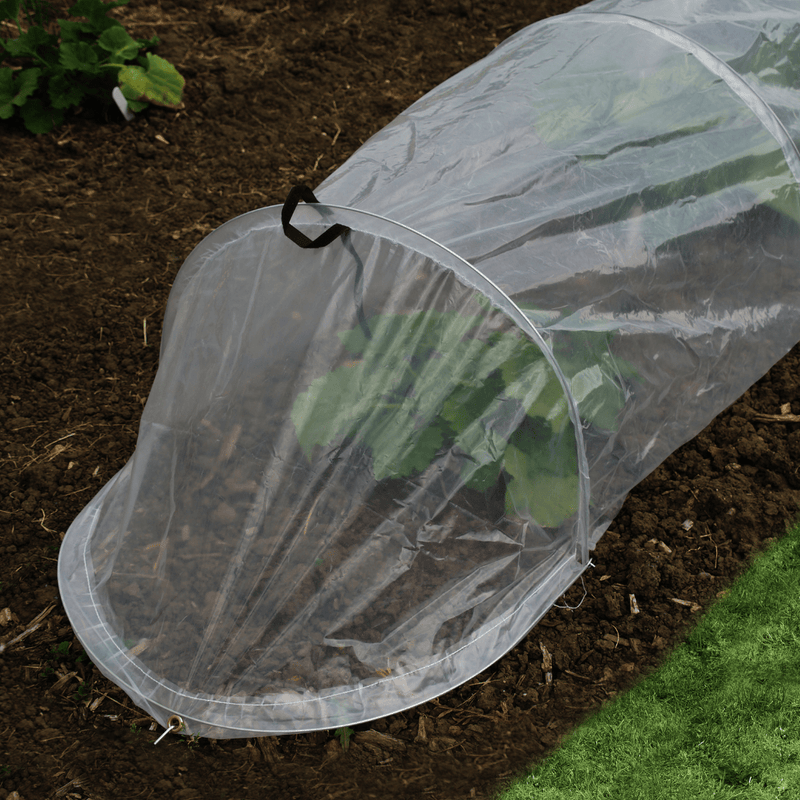 Polythene Tunnel Cloche, 3.1m | Growhouses & Tunnels | 6513000 5050642030700 | AllotMate Essentials