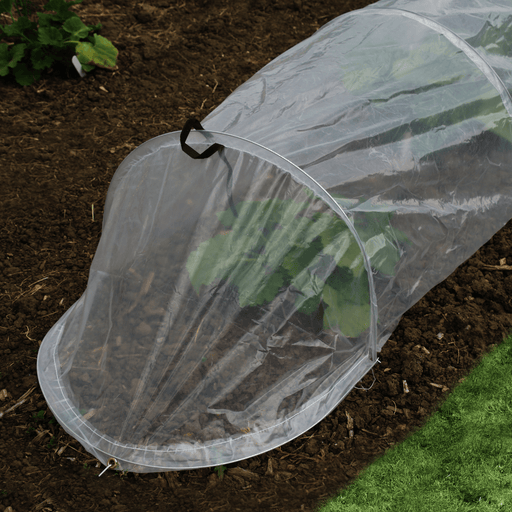 Polythene Tunnel Cloche, 3.1m | Growhouses & Tunnels | 6513000 5050642030700 | AllotMate Essentials