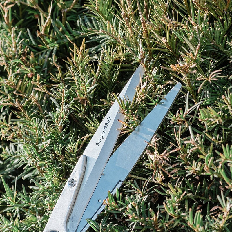 Burgon & Ball Precision Shear RHS Endorsed – Lightweight Pointed-Blade Hedge Shears (750g)