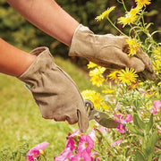 Premium Suede Gardener Gloves in Medium | Gloves | 5050642049054 5050642049054 | AllotMate Essentials