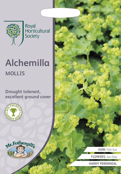 RHS Alchemilla mollis Seeds 200 Seeds, Hardy Perennial Ground Cover with RHS Award of Garden Merit | Flower Seeds | 5011775273938 5011775273938 | AllotMate Essentials