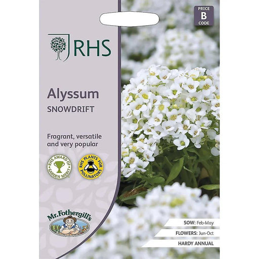RHS Alyssum Snowdrift Seeds 1500 Seeds, Fragrant Hardy Annual White Flower Seeds for Borders and Containers | Flower Seeds | 5011775325934 5011775325934 | AllotMate Essentials