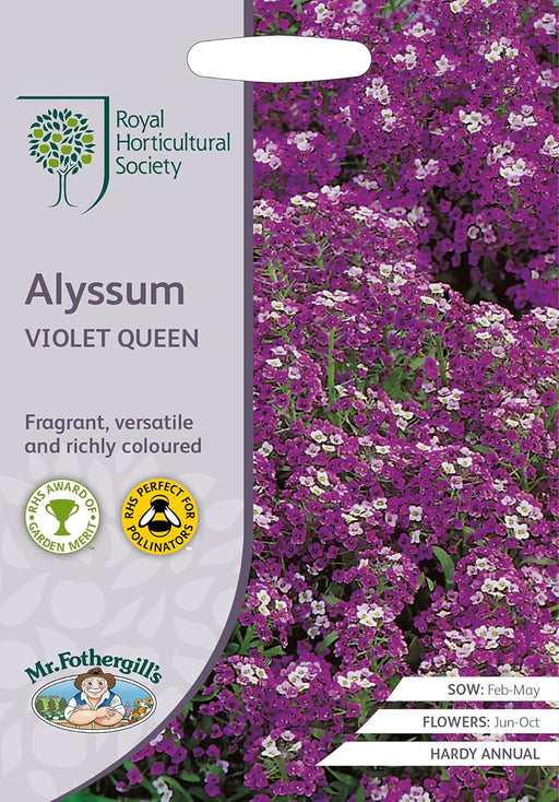 RHS Alyssum Violet Queen Seeds 1500 Seeds, Fragrant Hardy Annual Purple Flower Seeds for Borders and Containers | Flower Seeds | 5011775273952 5011775273952 | AllotMate Essentials