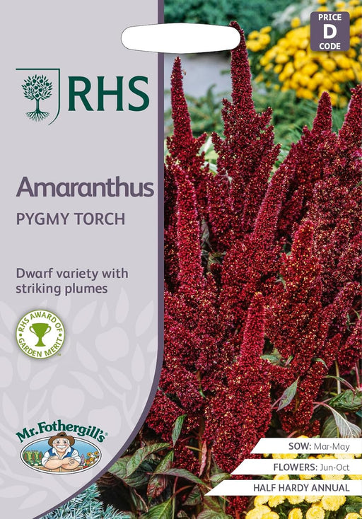 RHS Amaranthus Pygmy Torch Seeds 1000 Seeds, Dwarf Red Plume Half Hardy Annual for Borders and Containers | Flower Seeds | 5011775414843 5011775414843 | AllotMate Essentials