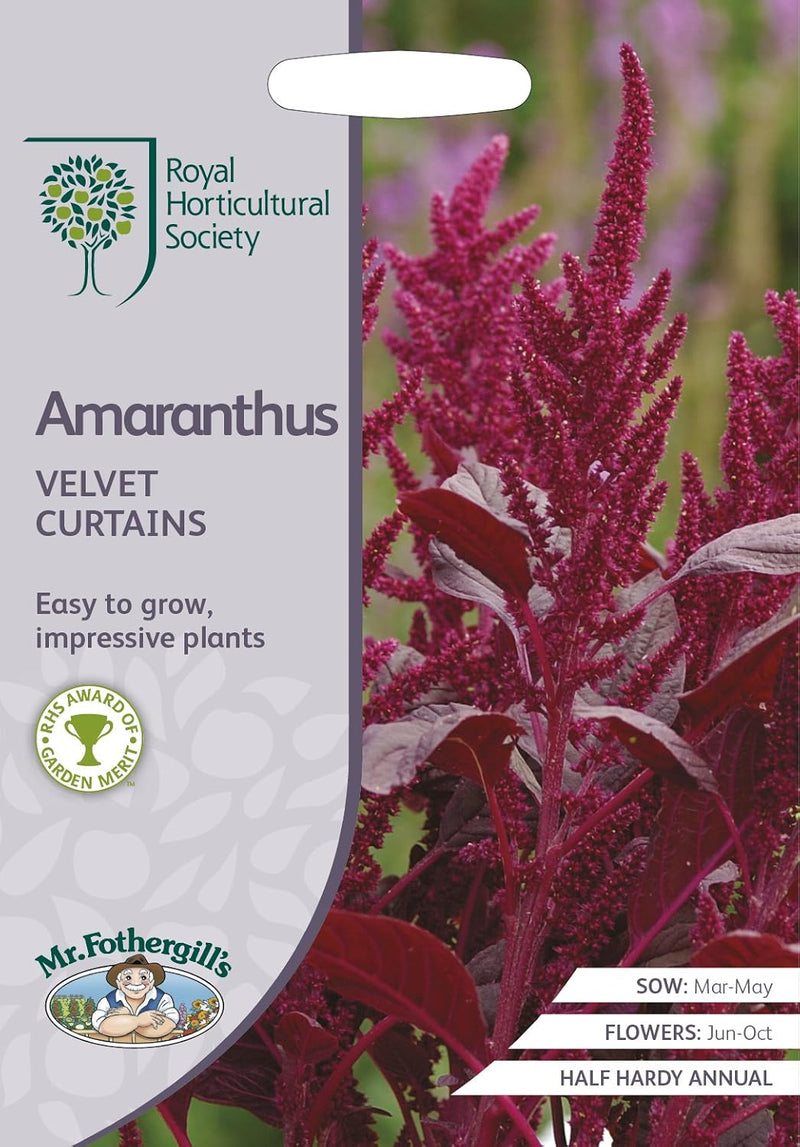 RHS Amaranthus Velvet Curtains Seeds 1500 Seeds, Tall Deep Red Half Hardy Annual for Borders and Cut Flowers | Flower Seeds | 5011775273969 5011775273969 | AllotMate Essentials